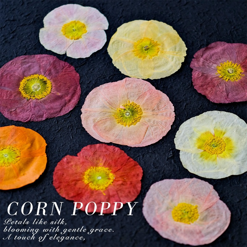 1 pièce, Fleurs de pavot de ca - Art And Craft Photos avis et prix