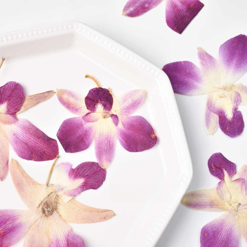 4 pièces, véritables fleurs d' - Art And Craft Photos avis et prix