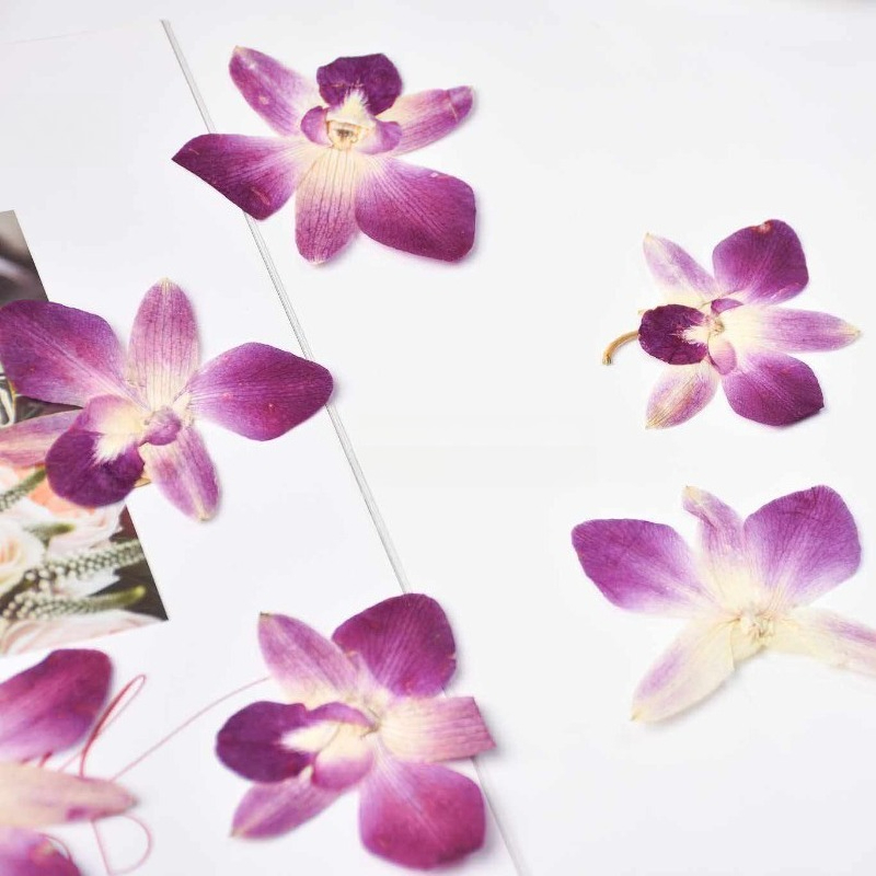 4 pièces, véritables fleurs d' - Art And Craft Photos avis et prix