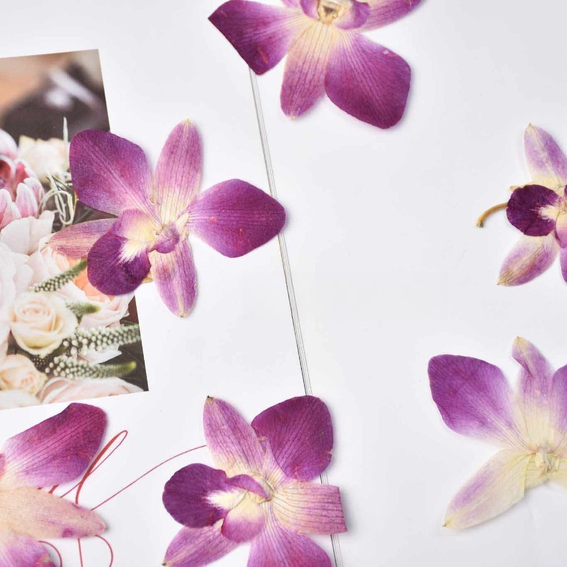 4 pièces, véritables fleurs d' - Art And Craft Photos avis et prix
