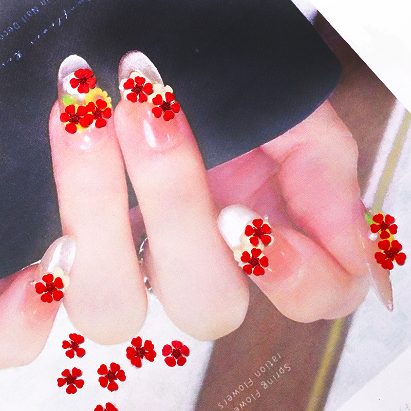 96 mini fleurs pressées nature - Art And Craft Photos avis et prix
